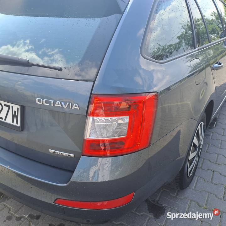 Skoda Oktawia GreenLine 2014 Pruszków