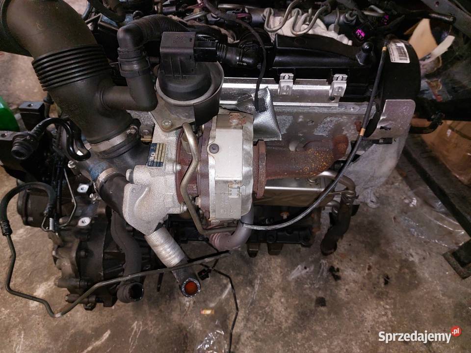 Silnik kompletny 16 TDI USZKODZONY osobowe Turek