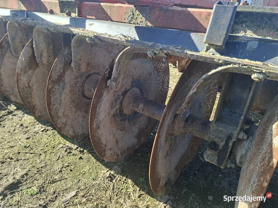 Talerzówka Brony Rolnictwo Zychorzyn