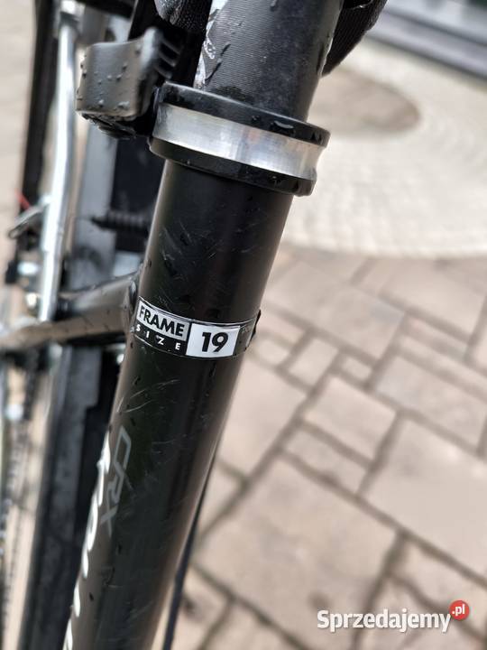 Kellys Gamma Biała Podlaska