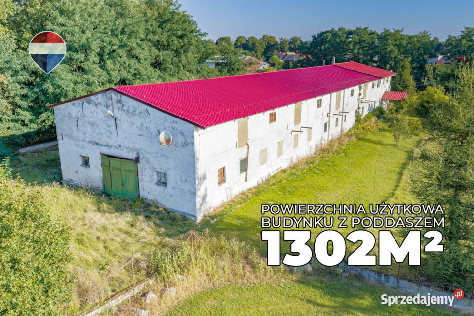 Nieruchomość inwestycyjna 99100 m Ostrzyce 9zł/m2