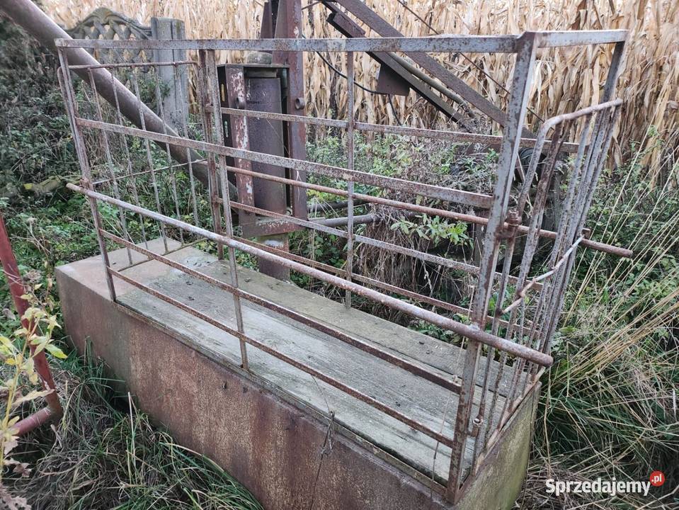 Klatka do wagi ważenia cieląt Bychawa