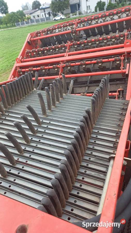 Kombajn do ziemniaków Grimme SE 17060 Amazone Do ziemniaków i warzyw lubelskie Ryki