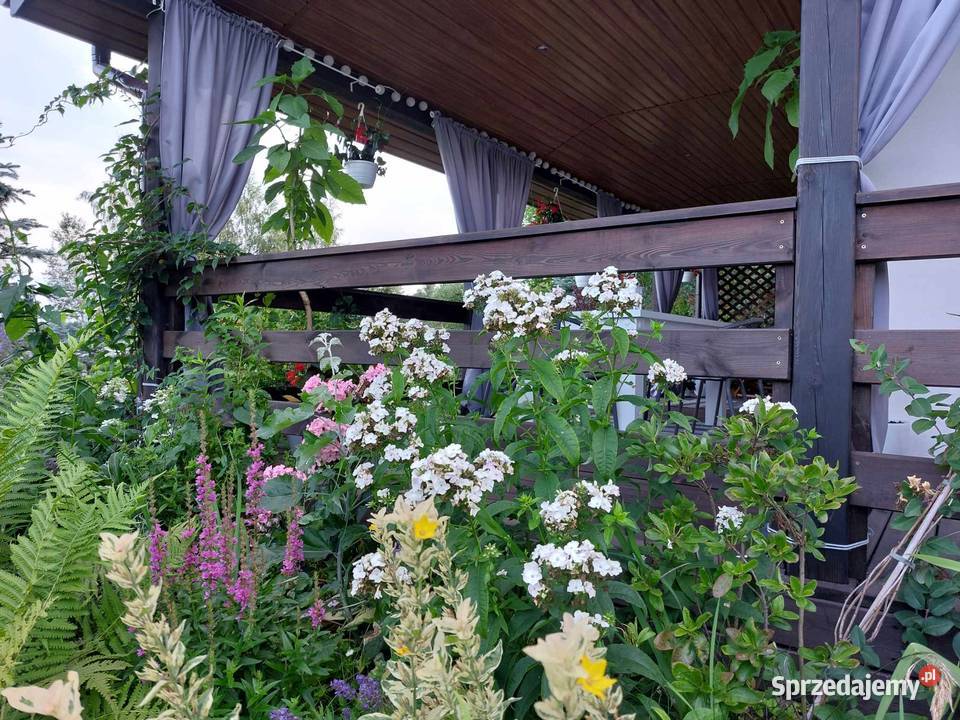 Na sprzedaż Kwiatowy Domek Zatory
