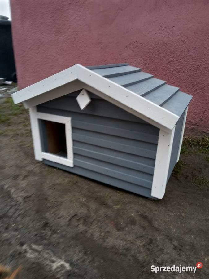 Domekbuda kota kotówPromocja Grodziec