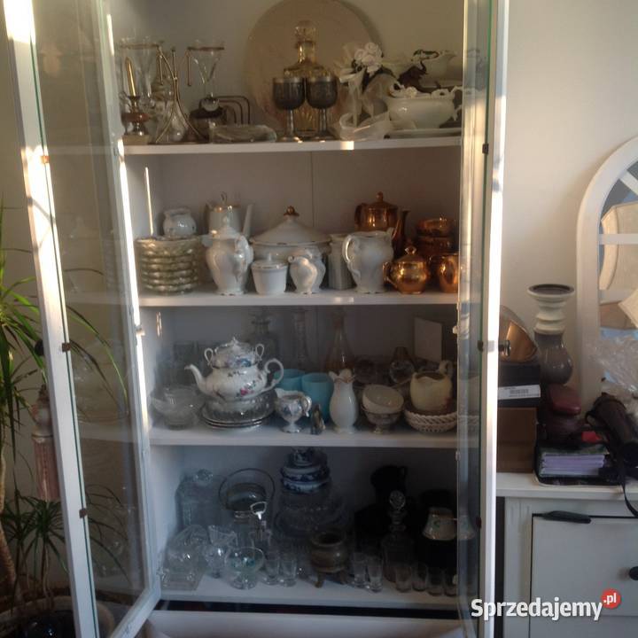 Sosjerki dipówki i inne pomorskie Gdańsk