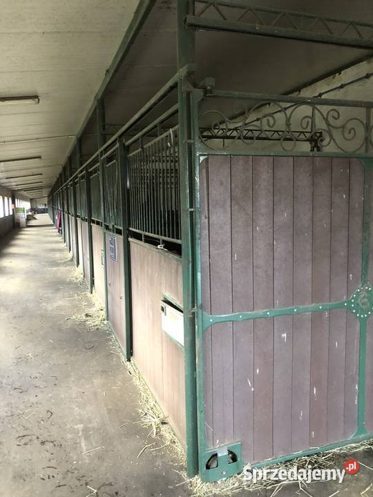 deska kompozytowa 15 x28 pełna Kielce sprzedam