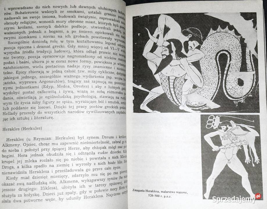 Mitologia Wierzenia i podania Greków i Rzymian miękka lubelskie