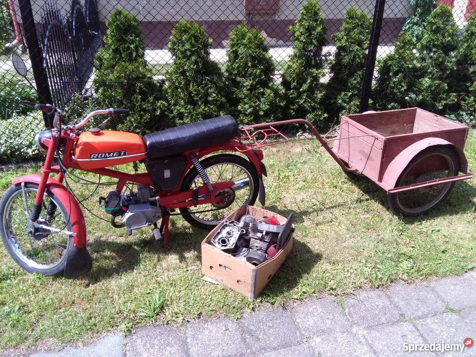 czerwony klasyczny komarek Jarocin