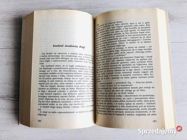 Książka Trzydziestka na karku Lisa Jewell romans łódzkie Łódź