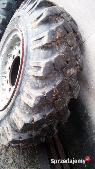 Koła 100018 Star sam es małopolskie Włosienica