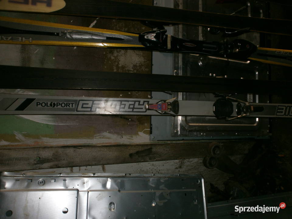 narty kijki elan rossignol polsport Gdańsk