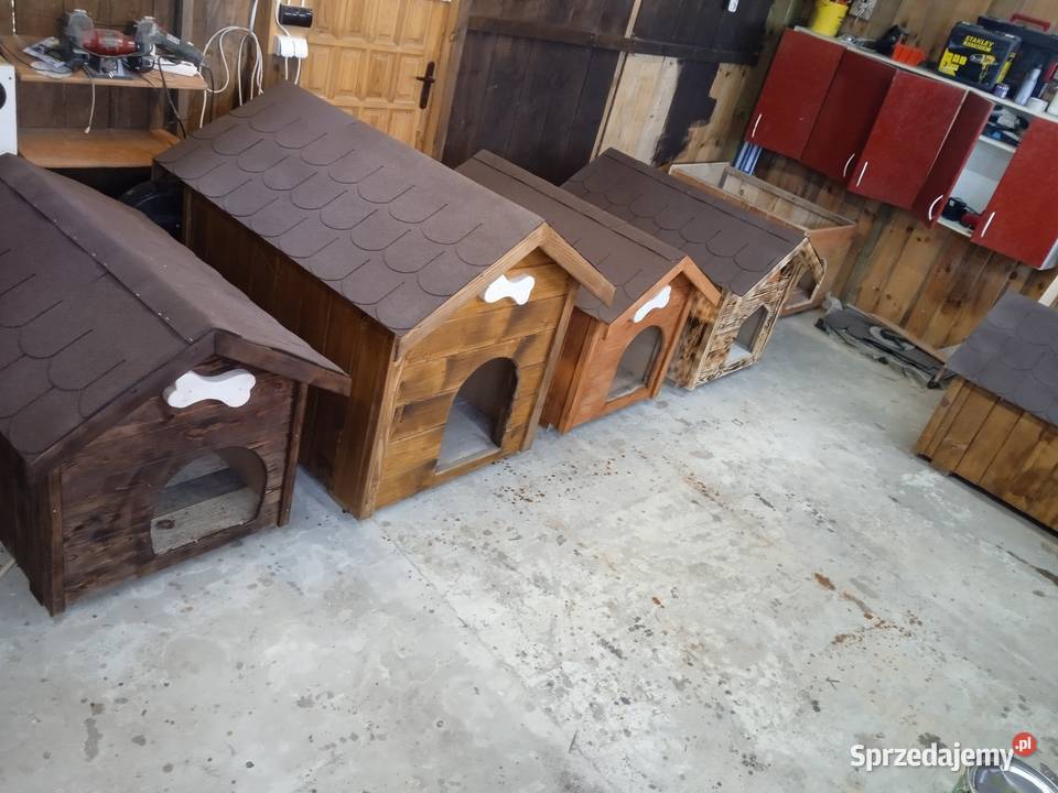 Buda psa 576921028 Mokrelipie