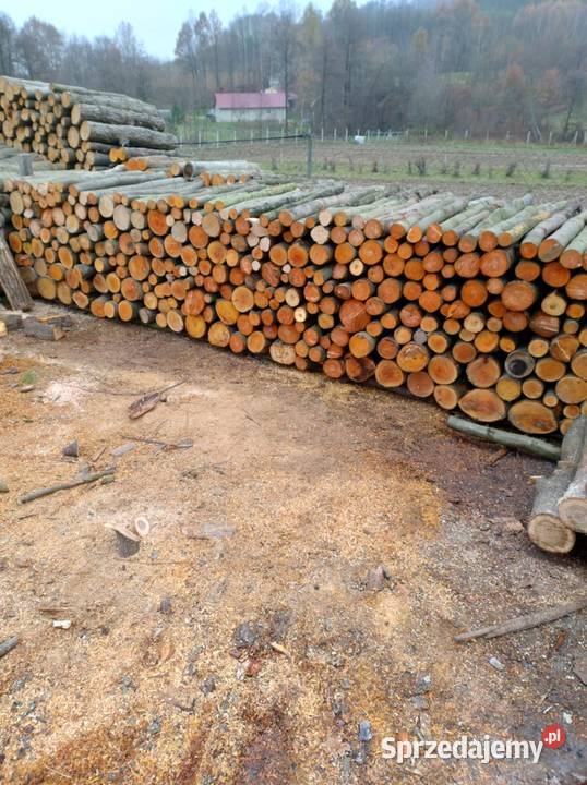 Drewno opałowe brzoza czereśnia bukolcha sprzedam