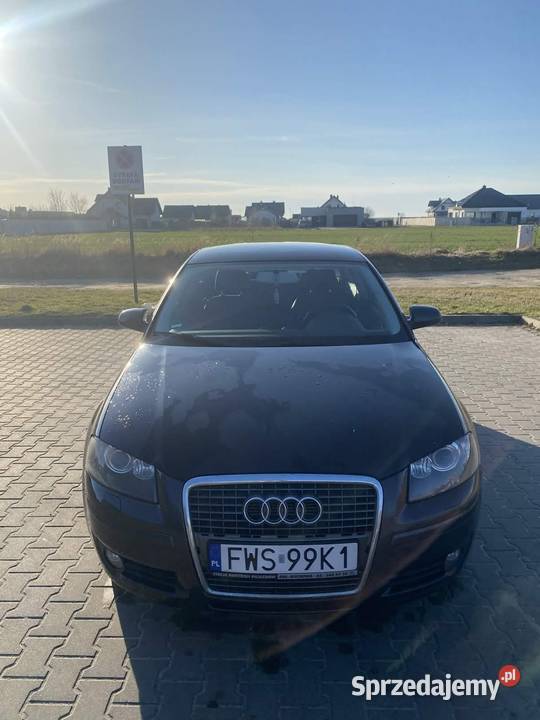 Audi A3 8P 19 TDI Wschowa