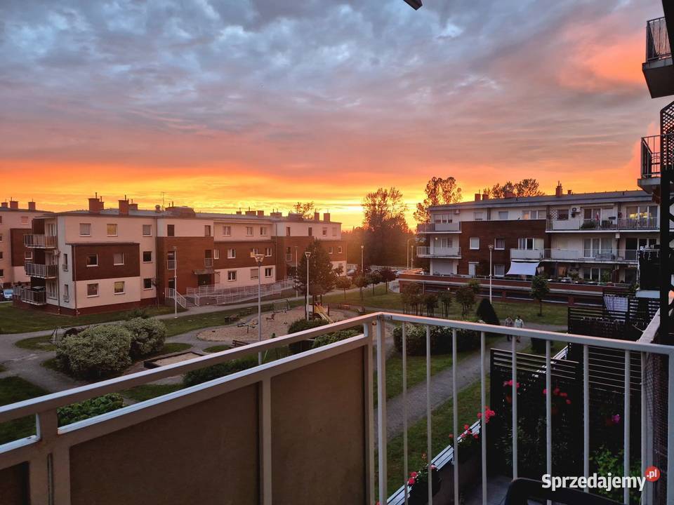 Mieszkanie 40m2 na wynajem 2 pokoje balkon winda własność Wynajem Opole