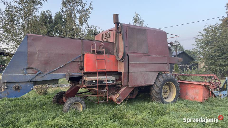 Kombajn Bizon ze stołem do rzepaku Zbożowe lubelskie Cyców