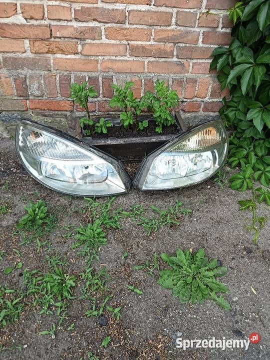 Lampy Scenic II całe kompletne eu Lampy przednie wielkopolskie Poniec
