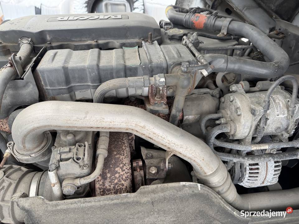 Silnik daf Lf cf euro6 px7 172 k3 67l 2022 300 wielkopolskie