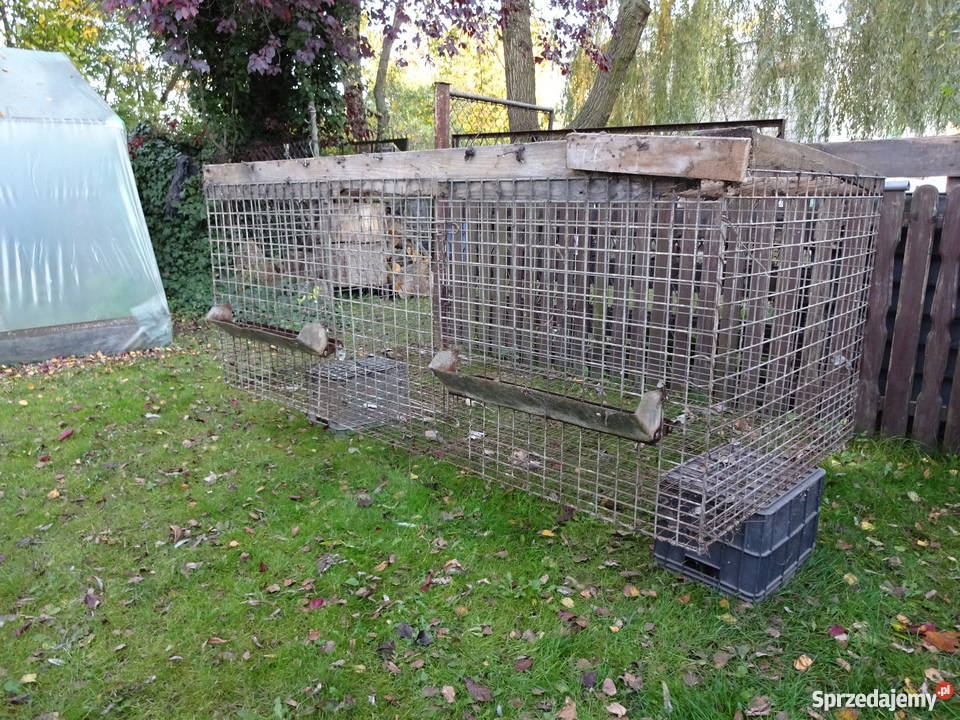 Klatki siatka ocynkowana lisy króliki tchórze wielkopolskie Luboń