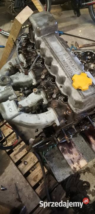 Silnik nissan cabstar atleon Blok silnika sprzedam