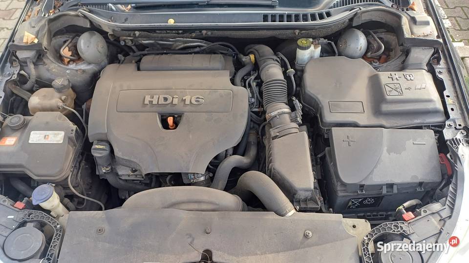 Citroen c5 2011r POLIFT 20HDI 163KONIE diesel zachodniopomorskie Stargard