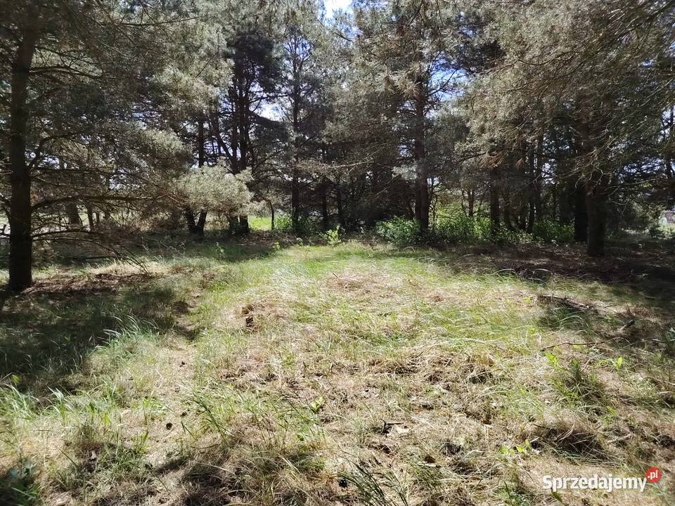 Działka na sprzedaż w Rychliku Sprzedaż wielkopolskie Rychlik
