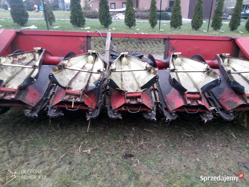 Przystawka do kukurydzy oros mfk 6 rzędów Werechanie