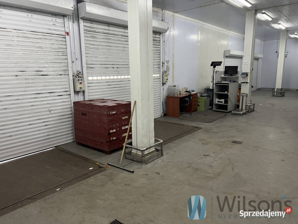 Lokal 2000m2 Nowe Lipiny 2000m2