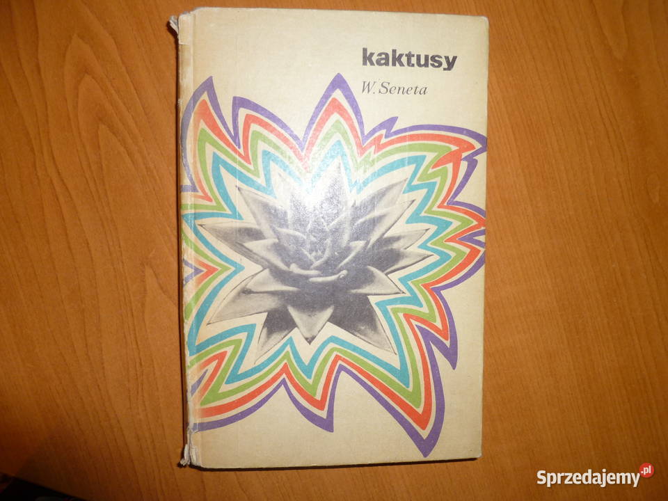 Kaktusy WSneta Kraków