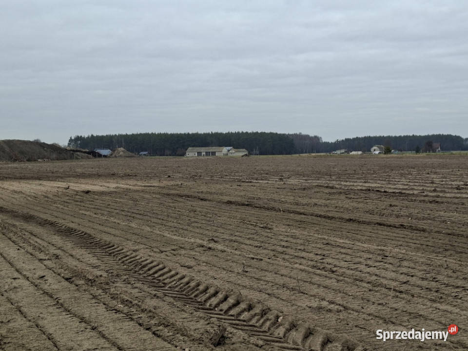 Syndyk sprzeda udział 38 w prawie własności rolna Nuna