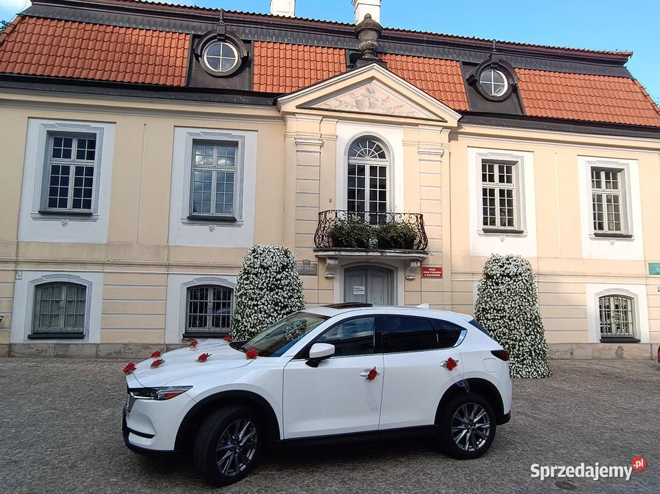 Przewóz osób na lotnisko Białystok