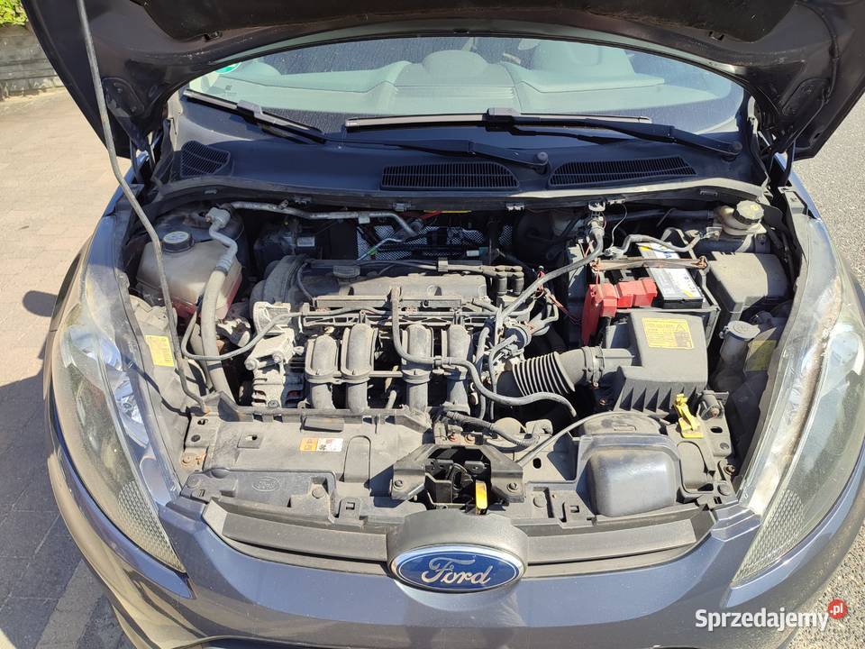 Ford Fiesta MK7 125 Benzynka Klima Oryginał I wielkopolskie Turek