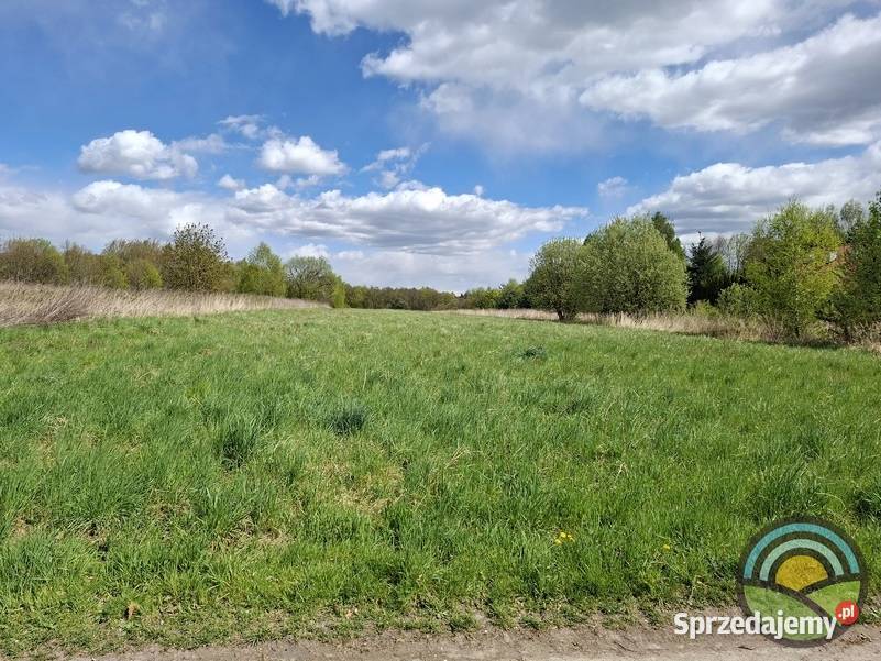 Kleszczów gm Zabierzów działka rolna 8340 m2 Sprzedaż małopolskie