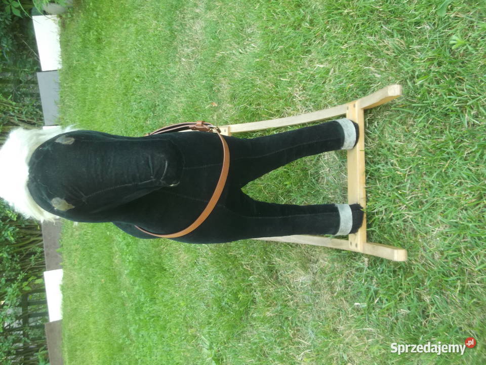 Konik na biegunach PRL dolnośląskie Wrocław