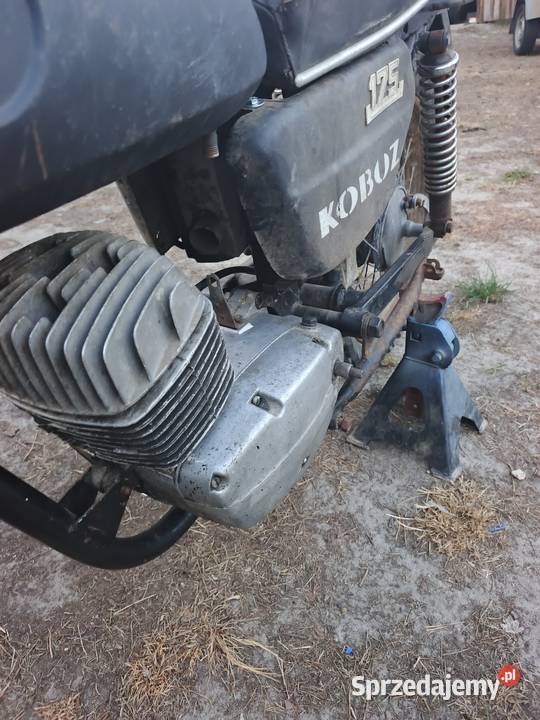 WSK 175 kobuz WSK Chełm