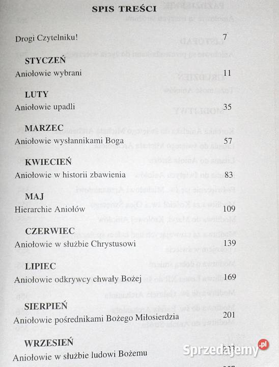 Ujrzałem Anioła stojącego w słońcu Rozważania o Pozostałe Chełm