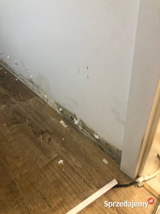 Iniekcja Szczecin Stargard Gryfino Gorzów zachodniopomorskie