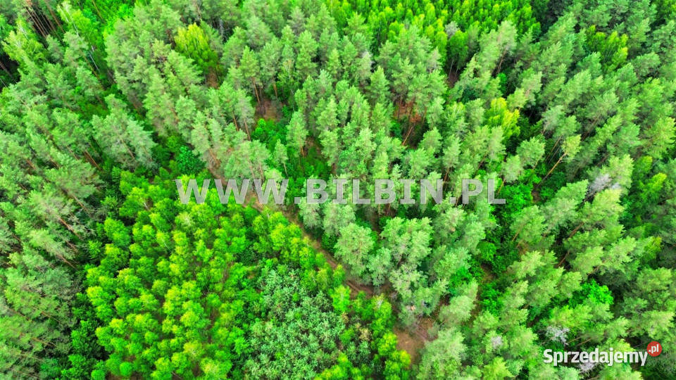 Działka Gawiniańce 3128m2 podlaskie
