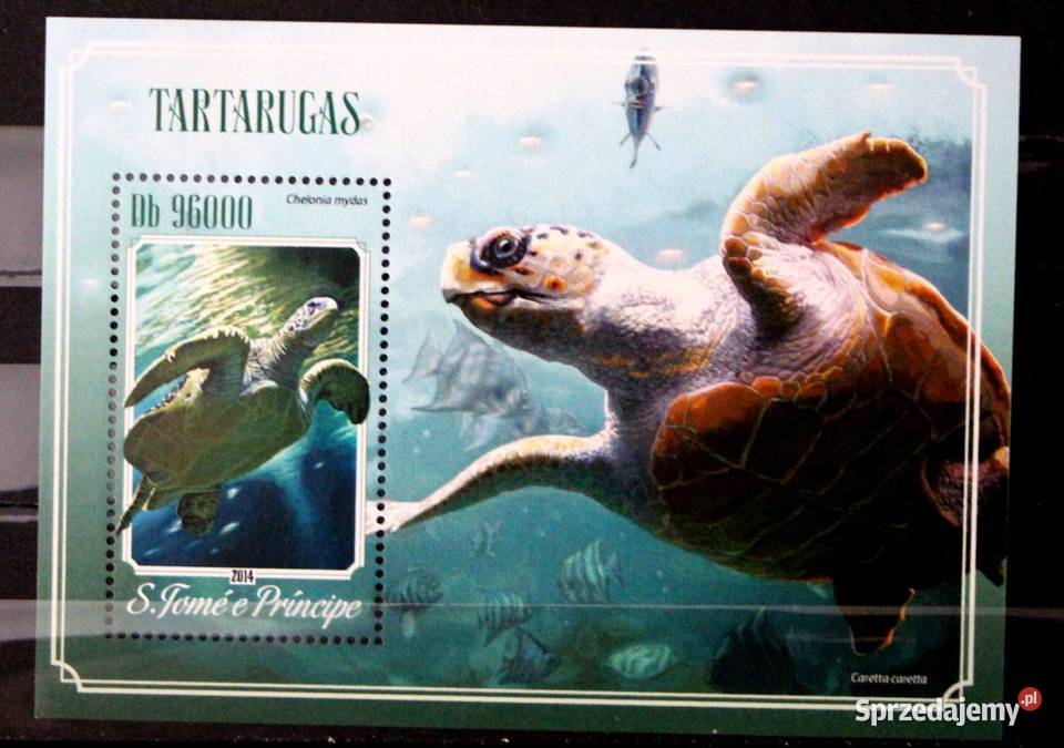 Wyspy św Tomasza i Książęce żółw