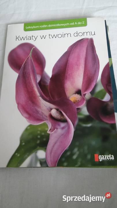 ogrodnictwo rośliny działka kwiaty kwiaty w domu Gdańsk sprzedam
