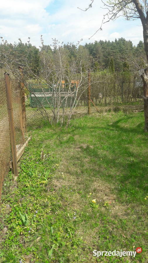 Dzialka Rod Wójtowa Rola 330m2 Grunty i działki Olsztyn