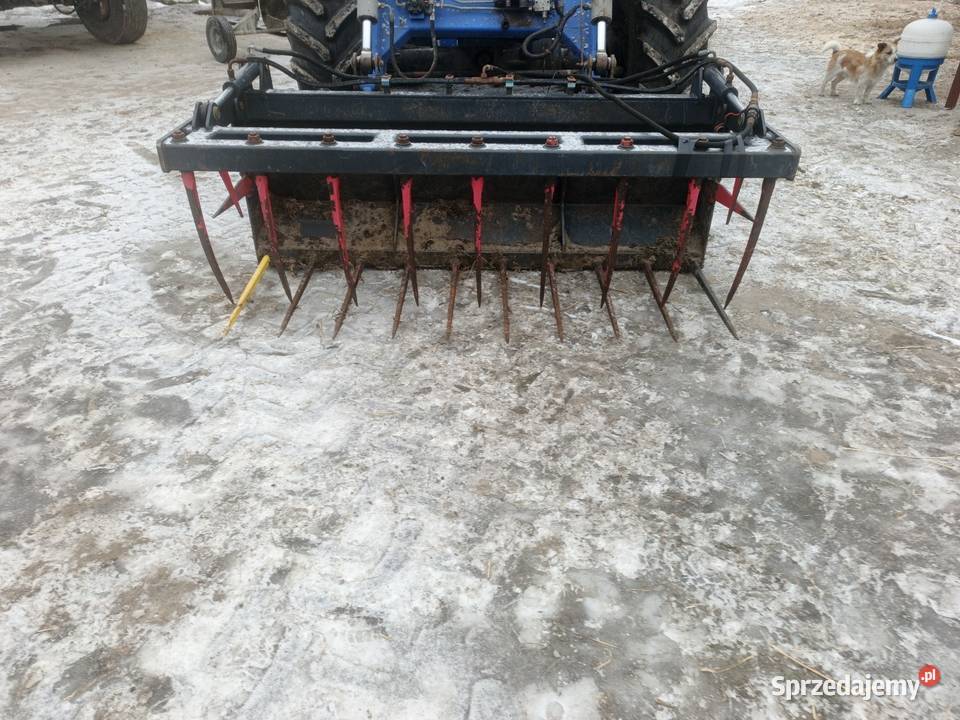 Krokodyl 2m m wielkopolskie