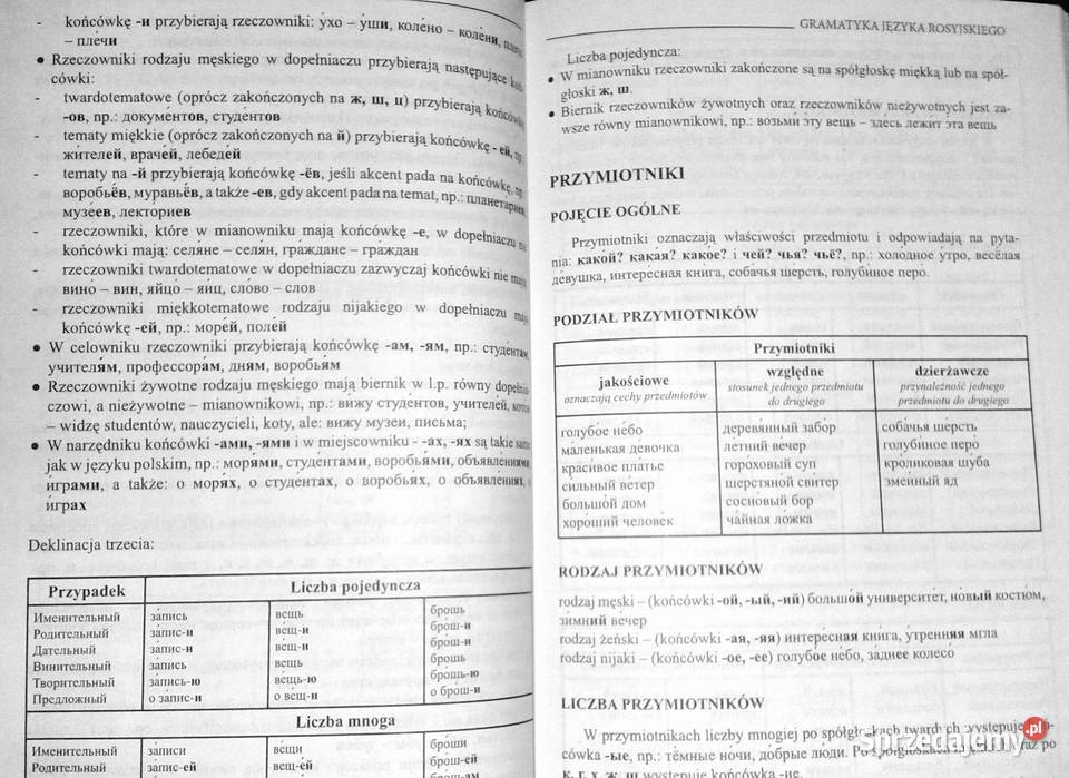 Gramatyka języka rosyjskiego Julia Piskorska miękka Chełm
