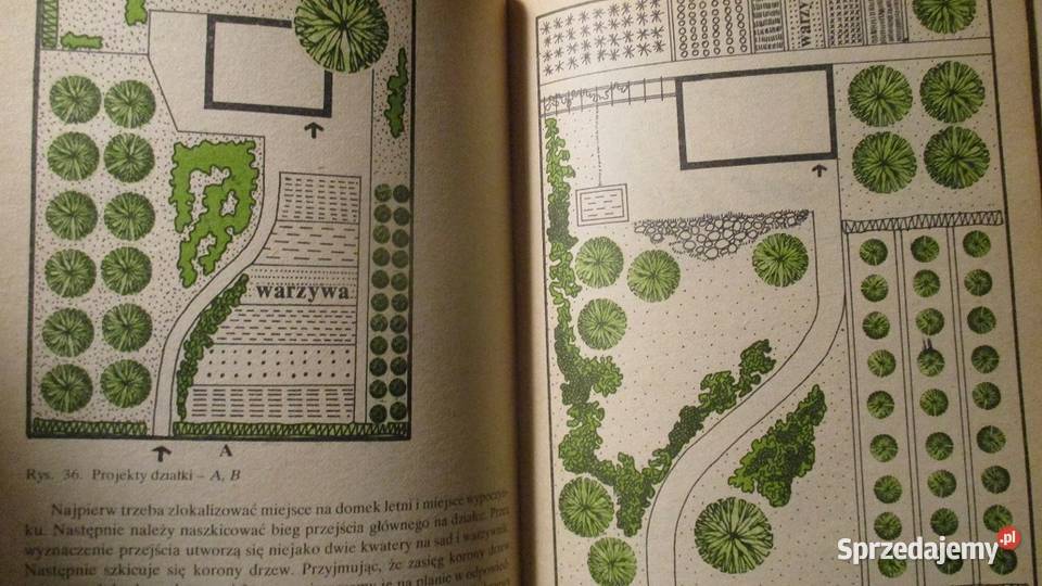 Działka moje hobby działka hobby uprawa ogród