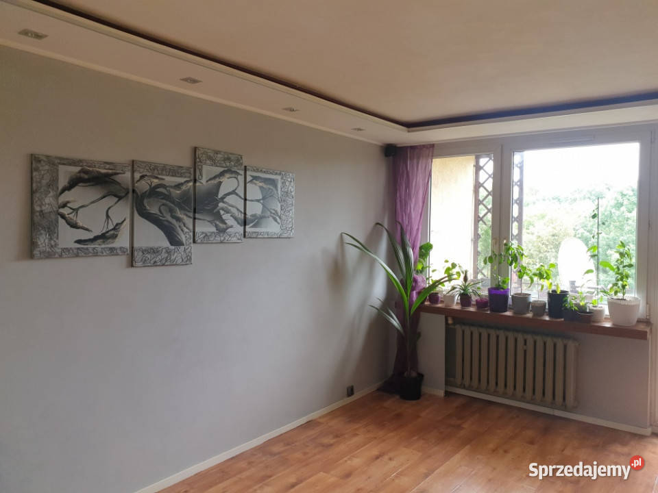 Przytulne mieszkanie w lokalizacji Zagórze Liczba pokoi 2 sprzedam