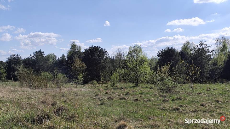 Działka rolna w Myszkowie Nowa Wieś duża 3417m2 265m Myszków