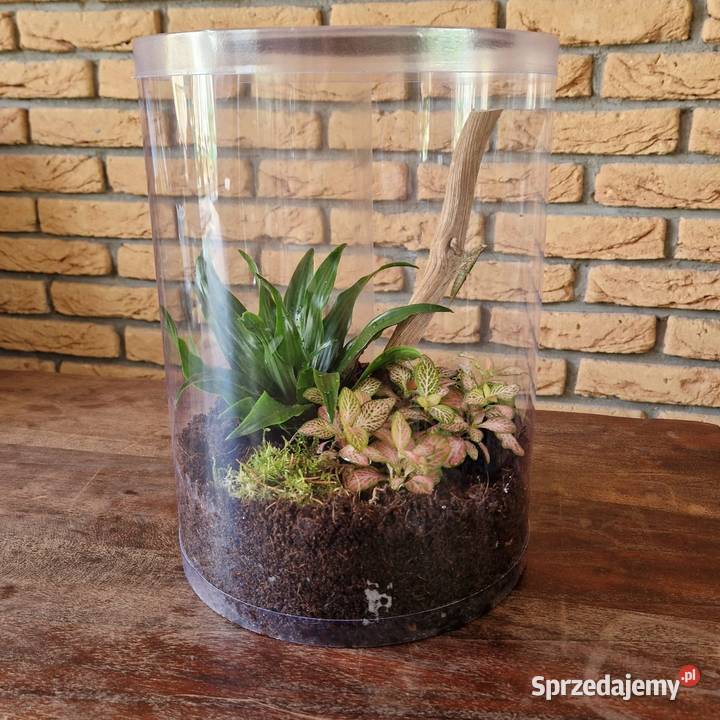 Terrarium z wentylacją tuba hodowlana 21x35 dwie Terrarystyka śląskie Mysłowice sprzedam