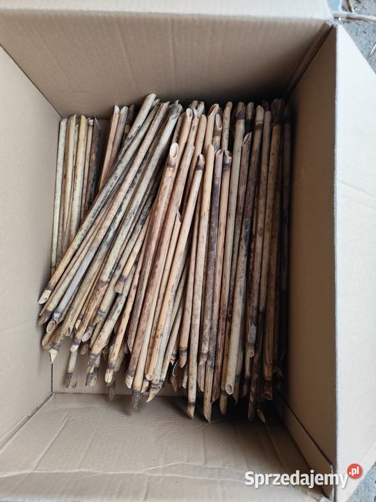 Rurki murarki trzcina do murarek domki pszczół Skoczów
