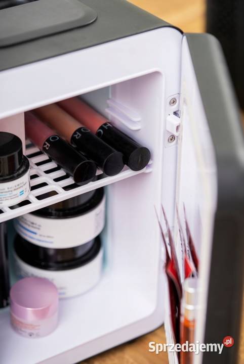 Lodówka Turystyczna Przenośna 4L na Kosmetyki Ruda Śląska sprzedam